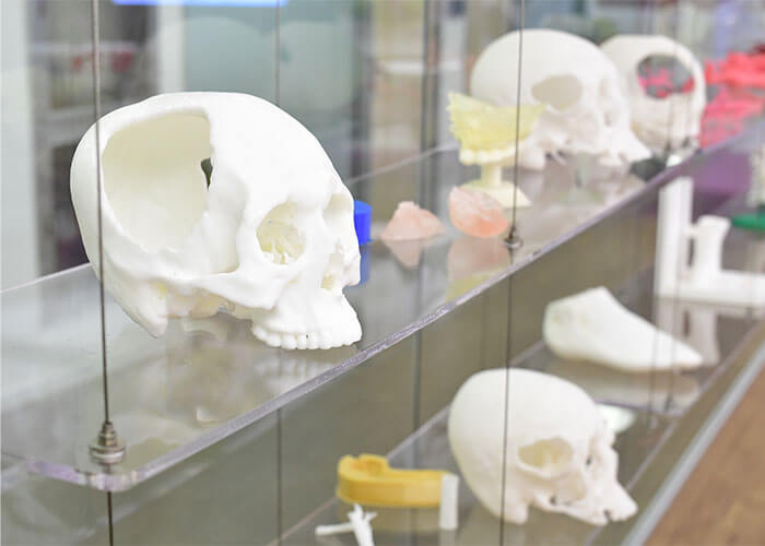 Artificial skull in clinic